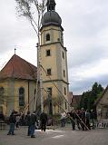 Maibaum 256